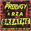 The Prodigy – Breathe Samples | Genius