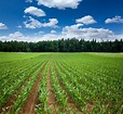 Agricultural Land Definition