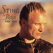 Vinyl-Video: Sting - Desert Rose [2000]
