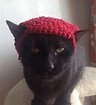 Cat beanie- it looks so done wIth everything | Cat beanie, Cute, Beanie