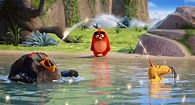 Crítica: Angry Birds – La película | Fuertecito (Cine y TV)