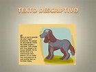 Ejemplo De Texto Descriptivo - abstractor