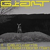 Calvin Harris lanza su nuevo single "Giant" junto a Rag 'n' Bone Man ...