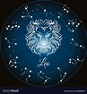 Zodiac sign leo Royalty Free Vector Image - VectorStock