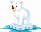 Dibujos animados de oso polar | Vector Premium