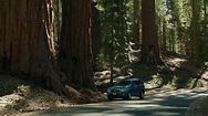 Sequoia (2014) – Filmer – Film . nu