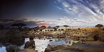 Parque Nacional Serengeti, el más destacado de Tanzania