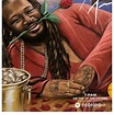 T-pain on Top of the Covers Album Poster / Album Cover - Etsy