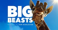 Big Beasts - Apple TV+ Press