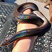 This Gorgeous Rainbow Snake Is A Pride Month Blessing | Pet snake ...