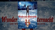 Wunder einer Winternacht: Die Weihnachtsgeschichte - YouTube