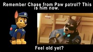 Chase from Paw Patrol : r/memes