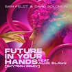 Sam Feldt; David Solomon; Aloe Blacc, Future In Your Hands (feat. Aloe ...