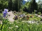 Kräutergarten Hildegard von Bingen | Schaubetriebe | Tirol in Österreich