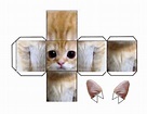 Munchkin/El gato cube | Plantillas de animales, Animales para imprimir ...