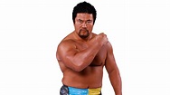 Kensuke Sasaki: Profile, Career Stats, Face/Heel Turns, Titles Won ...