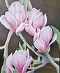Magnolias elegantes Painting by Claudia E Waimin Wan | Saatchi Art