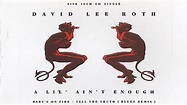 David Lee Roth - A Lil' Ain't Enough (Remastered) HQ - YouTube Music