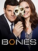 Bones - Where to Watch and Stream - TV Guide