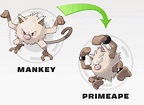 Pokemon Evolução: Evolução Mankey
