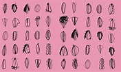Viva la vulva: why we need to talk about women’s genitalia | Sex | The ...
