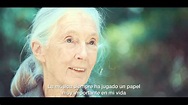TRIO Jane´s music of life (trailer español) - YouTube