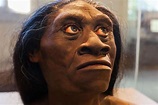 Kabar Terakhir Manusia Katai Dari Flores: Kisah Homo Floresiensis ...