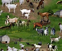 Farm Animals Wallpaper (58+ images)