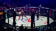 Careers | Professional Fighters League