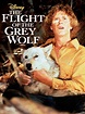 The Flight of the Grey Wolf - Where to Watch and Stream - TV Guide