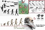 вiѳℓѳgiα •ツ: A teoria de Darwin