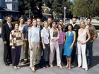 Desperate Housewives : que sont devenus les acteurs de la série