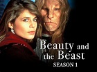 Watch Beauty and the Beast Season 1 | Prime Video