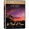 Masterpiece Mystery!: A Thief of Time DVD, from the Tony Hillerman ...