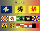 all flags of the Belgium regions. 21915169 Vector Art at Vecteezy