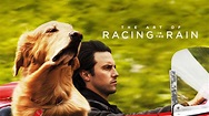 Watch The Art of Racing in the Rain (2019) Streaming Full Movie ...