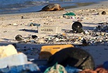 Uninhabited Midway Atoll littered with plastic debris from Great ...