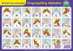 BSL Fingerspelling Alphabet Sign - British Sign Language Sign for Schools