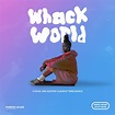 Tierra Whack album Whack World – ZYZZYVA