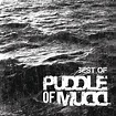 Puddle of Mudd - Best Of | iHeart
