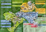 Visite du Zoo de Beauval | Infos et conseils