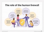 El rol del firewall humano en una estrategia de ciberseguridad ...