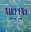 Nirvana - Hormoaning (Vinyl) | Discogs