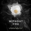 Stream Avicii - Without You (Official Preview) (Avīci EP) by Avicii ...