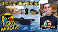 Alexis Martínez: The Loro Parque Trainer Who Was Fatally Attacked By An ...