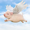 When Pigs Fly Concept. Cute Little Piggy with Wings Flying through the ...