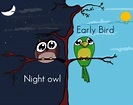 Productivity Analysis: Night Owls vs Early Birds - SK Children ...