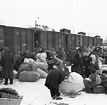 Vertreibung 1945: Als Millionen Deutsche selber Flüchtlinge waren - WELT