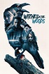 Witches in the Woods Film-information und Trailer | KinoCheck