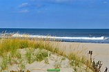 Island Beach State Park | Island Beach, New Jersey 08008, Ocean County